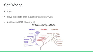 Carl Woese
• 1990
• Nova proposta para classificar os seres vivos;
• Análise do DNA ribossomal
 