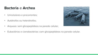 Bacteria e Archea
• Unicelulares e procariontes;
• Autótrofos ou heterótrofos;
• Arqueas: sem glicopeptídeos na parede celular;
• Eubactérias e cianobactérias: com glicopeptídeos na parede celular.
 