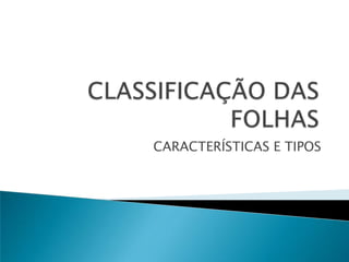 CLASSIFICAÇÃO DAS FOLHASCARACTERÍSTICAS E TIPOS