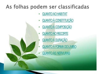 As folhas podem ser classificadas