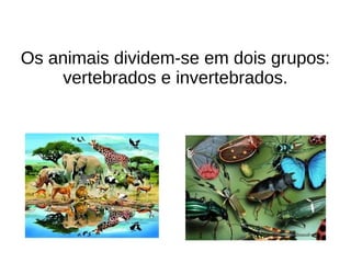 Os animais dividem-se em dois grupos:
vertebrados e invertebrados.

 