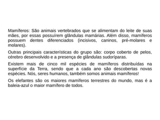 Mamíferos: São animais vertebrados que se alimentam do leite de suas
mães, por essas possuírem glândulas mamárias. Além disso, mamíferos
possuem dentes diferenciados (incisivos, caninos, pré-molares e
molares).
Outras principais características do grupo são: corpo coberto de pelos,
cérebro desenvolvido e a presença de glândulas sudoríparas.
Existem mais de cinco mil espécies de mamíferos distribuídas na
superfície da Terra, sendo que a cada ano são descobertas novas
espécies. Nós, seres humanos, também somos animais mamíferos!
Os elefantes são os maiores mamíferos terrestres do mundo, mas é a
baleia-azul o maior mamífero de todos.

 