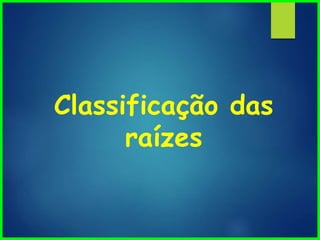 Classificação das
raízes