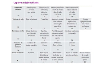 Capurro: Critérios físicos: 
 