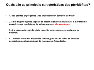 Quais são as principais características das pteridófitas?


•   1. São plantas criptógamas (não produzem flor, semente ou fruto)

•   2. Foi o segundo grupo vegetal na escala evolutiva das plantas, e o primeiro a
    possuir vasos condutores de seivas, ou seja, são vasculares;

•   3. A presença da vascularidade permitiu a elas crescerem mais que as
    briófitas;

•   4. Também vivem em ambientes úmidos, pois assim como as briófitas
    necessitam da ajuda da água do meio para a fecundação;
 