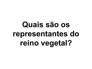 Quais são os
representantes do
  reino vegetal?
 