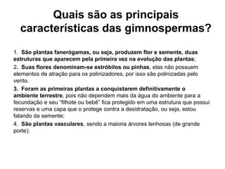 Quais são as principais
  características das gimnospermas?
1. São plantas fanerógamas, ou seja, produzem flor e semente, duas
estruturas que aparecem pela primeira vez na evolução das plantas;
2. Suas flores denominam-se estróbilos ou pinhas, elas não possuem
elementos de atração para os polinizadores, por isso são polinizadas pelo
vento.
3. Foram as primeiras plantas a conquistarem definitivamente o
ambiente terrestre, pois não dependem mais da água do ambiente para a
fecundação e seu “filhote ou bebê” fica protegido em uma estrutura que possui
reservas e uma capa que o protege contra a desidratação, ou seja, estou
falando da semente;
4. São plantas vasculares, sendo a maioria árvores lenhosas (de grande
porte);
 