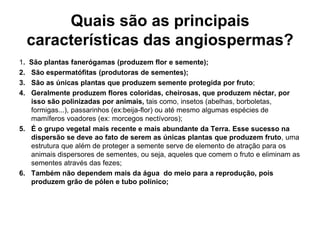 Quais são as principais
     características das angiospermas?
1. São plantas fanerógamas (produzem flor e semente);
2. São espermatófitas (produtoras de sementes);
3. São as únicas plantas que produzem semente protegida por fruto;
4. Geralmente produzem flores coloridas, cheirosas, que produzem néctar, por
   isso são polinizadas por animais, tais como, insetos (abelhas, borboletas,
   formigas...), passarinhos (ex:beija-flor) ou até mesmo algumas espécies de
   mamíferos voadores (ex: morcegos nectívoros);
5. É o grupo vegetal mais recente e mais abundante da Terra. Esse sucesso na
   dispersão se deve ao fato de serem as únicas plantas que produzem fruto, uma
   estrutura que além de proteger a semente serve de elemento de atração para os
   animais dispersores de sementes, ou seja, aqueles que comem o fruto e eliminam as
   sementes através das fezes;
6. Também não dependem mais da água do meio para a reprodução, pois
   produzem grão de pólen e tubo polínico;
 