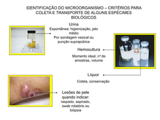 Urina
Espontânea: higienização, jato
médio
Por sondagem vesical ou
punção suprapúbica
IDENTIFICAÇÃO DO MICROORGANISMO – CRITÉRIOS PARA
COLETA E TRANSPORTE DE ALGUNS ESPÉCIMES
BIOLÓGICOS
Hemocultura
Momento ideal, no de
amostras, volume
Líquor
Coleta, conservação
Lesões de pele
quando indicar:
raspado, aspirado,
swab rotatório ou
biópsia
 