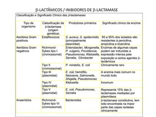 -LACTÂMICOS / INIBIDORES DE -LACTAMASE
CCllaassssiiffiiccaaççããoo ee SSiiggnniiffiiccaaddoo CCllíínniiccoo ddaass --llaaccttaammaasseess
TTiippoo ddee
oorrggaanniissmmoo
CCaallssssiiffiiccaaççããoo ddaa
--llaaccttaammaassee
((oorriiggeemm
ggeennééttiiccaa))
PPrroodduuttoorreess pprriimmáárriiooss SSiiggnniiffiiccaaddoo ccllíínniiccoo ddaa eennzziimmaa
AAeerróóbbiiooss GGrraamm
ppoossiittiivvooss
EEssttaaffiillooccooccooss SS.. aauurreeuuss,, SS.. eeppiiddeerrmmiiddiiss
((pprriinncciippaallmmeennttee
ppllaassmmiiddiiaall))
8855 aa 9955%% ddooss iissoollaaddooss ssããoo
rreessiisstteenntteess àà ppeenniicciilliinnaa,,
aammppiicciilliinnaa ee ttiiccaarrcciilliinnaa
AAeerróóbbiiooss GGrraamm
nneeggaattiivvooss
RRiicchhmmoonndd--
SSyykkeess ttiippoo II
((ccrroommoossssoommaall))
EEnntteerroobbaacctteerr,, MMoorrggaanneellllaa,,
PP.. vvuullggaarriiss,, PPrroovviiddeenncciiaa,,
PPsseeuuddoommoonnaass,, KKlleebbssiieellllaa,,
SSeerrrraattiiaa,, CCiittrroobbaacctteerr
EEnnzziimmaass ddee aallgguummaass cceeppaass
ppooddeemm sseerr iinndduuzziiddaass aa
eexxpprreessssããoo iinntteennssaa ppeellaa
eexxppoossiiççããoo aa cceerrttooss aaggeenntteess --
llaaccttââmmiiccooss
TTiippoo IIII
((ccrroommoossssoommaall))
PP.. mmiirraabbiilliiss,, EE.. ccoollii CClliinniiccaammeennttee rraarroo
TTiippoo IIIIII
((ppllaassmmiiddiiaall))
EE.. ccoollii,, hheemmóóffiilloo,,
NNeeiisssseerriiaa,, SSaallmmoonneellllaa,,
SShhiiggeellllaa,, PPsseeuuddoommoonnaass
AA eennzziimmaa mmaaiiss ccoommuumm nnoo
mmuunnddoo ttooddoo
TTiippoo IIVV
((ppllaassmmiiddiiaall))
KKlleebbssiieellllaa IInnccoommuumm
TTiippoo VV
((ppllaassmmiiddiiaall))
EE.. ccoollii,, PPsseeuuddoommoonnaass,,
SSeerrrraattiiaa
RReepprreesseennttaa 1155%% ddaass --
llaaccttaammaasseess mmeeddiiaaddaass ppoorr
ppllaassmmííddeeooss
AAnnaaeerróóbbiiooss RRiicchhmmoonndd--
SSyykkeess ttiippoo VVII
((ccrroommoossssoommaall))
BBaacctteerrooiiddeess --llaaccttaammaassee ccoonnssttiittuuttiivvaa,, tteemm
ssiiddoo eennccoonnttrraaddaa nnaa mmaaiioorr
ppaarrttee ddaass cceeppaass iissoollaaddaass
cclliinniiccaammeennttee
 