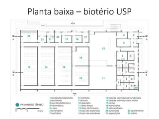 Planta baixa – biotério USP
 