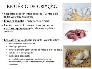 BIOTÉRIO DE CRIAÇÃO
• Respostas experimentais precisas – Controle de
todas variáveis existentes
• Primeira garantia – origem dos animais
• Biotério de criação - onde se encontram as
matrizes reprodutoras das diversas espécies
animais
• Controle e definição das seguintes características:
• o estado de saúde do animal;
• sua carga genética;
• o manuseio feito com o animal de modo a torná-lo dócil;
• a alimentação empregada;
• o ambiente adequado;
• outros fatores que possam ocasionar estresse,
influenciando, assim, indiretamente, na resposta
esperada.
 