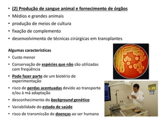 • (2) Produção de sangue animal e fornecimento de órgãos
• Médios e grandes animais
• produção de meios de cultura
• fixação de complemento
• desenvolvimento de técnicas cirúrgicas em transplantes
Algumas características
• Custo menor
• Conservação de espécies que não são utilizadas
com freqüência
• Pode fazer parte de um biotério de
experimentação
• risco de perdas acentuadas devido ao transporte
e/ou à má adaptação
• desconhecimento do background genético
• Variabilidade do estado de saúde
• risco de transmissão de doenças ao ser humano
 