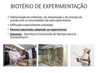 BIOTÉRIO DE EXPERIMENTAÇÃO
• Padronização do ambiente, da alimentação e do manejo de
acordo com as necessidades de cada experimento
• Edificação especialmente projetada
• Pessoal capacitado adaptado ao experimento.
• Zoonoses - barreiras à transmissão de doenças para os
funcionários!!!
 