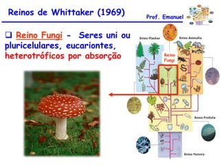 Reinos de Whittaker (1969)
 Reino Fungi - Seres uni ou
pluricelulares, eucariontes,
heterotróficos por absorção

Prof. Emanuel

Reino
Fungi

 