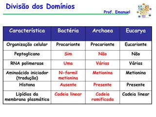 Divisão dos Domínios

Prof. Emanuel

Característica

Bactéria

Archaea

Eucarya

Organização celular

Procarionte

Procarionte

Eucarionte

Peptoglicano

Sim

Não

Não

RNA polimerase

Uma

Várias

Várias

Aminoácido iniciador
(tradução)

N-formil
metionina

Metionina

Metionina

Histona

Ausente

Presente

Presente

Lipídios da
membrana plasmática

Cadeia linear

Cadeia
ramificada

Cadeia linear

 
