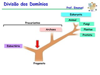 Divisão dos Domínios

Prof. Emanuel
Eukaryota
Animal

Procariontes

Fungi
Archaea

Plantae
Protista

Eubactéria

Progenoto

 