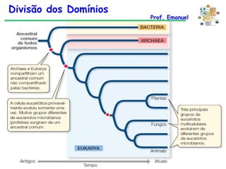 Divisão dos Domínios

Prof. Emanuel

 