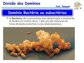 Divisão dos Domínios

Prof. Emanuel

Domínio Bactéria ou eubactérias

 