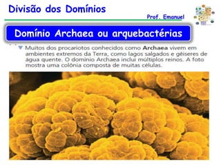 Divisão dos Domínios

Prof. Emanuel

Domínio Archaea ou arquebactérias

 