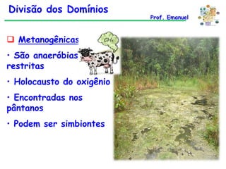Divisão dos Domínios
 Metanogênicas

• São anaeróbias
restritas
• Holocausto do oxigênio
• Encontradas nos
pântanos

• Podem ser simbiontes

Prof. Emanuel

 