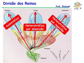 Divisão dos Reinos

Heterotrófico
por absorção

Prof. Emanuel

 