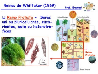 Reinos de Whittaker (1969)

Prof. Emanuel

 Reino Protista - Seres
uni ou pluricelulares, eucariontes, auto ou heterotróficos

Reino
Protista

 