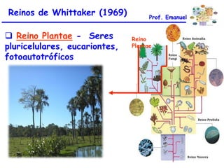 Reinos de Whittaker (1969)
 Reino Plantae - Seres
pluricelulares, eucariontes,
fotoautotróficos

Prof. Emanuel

Reino
Plantae

 