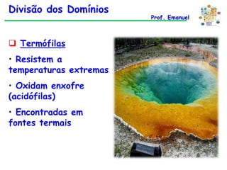 Divisão dos Domínios
 Termófilas

• Resistem a
temperaturas extremas
• Oxidam enxofre
(acidófilas)
• Encontradas em
fontes termais

Prof. Emanuel

 
