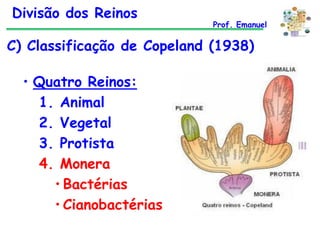 Divisão dos Reinos

Prof. Emanuel

C) Classificação de Copeland (1938)

• Quatro Reinos:
1. Animal
2. Vegetal
3. Protista
4. Monera
• Bactérias
• Cianobactérias

 