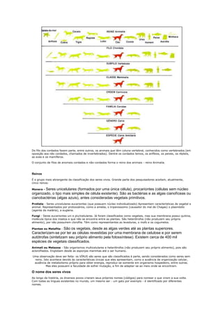 Do filo dos cordados fazem parte, entre outros, os animais que têm coluna vertebral, conhecidos como vertebrados (em
oposição aos não cordados, chamados de invertebrados). Dentre os cordados temos, os anfíbios, os peixes, os répteis,
as aves e os mamíferos.

O conjunto de filos de anomais cordados e não-cordados forma o reino dos animais - reino Animalia.



Reinos
É o grupo mais abrangente da classificação dos seres vivos. Grande parte dos pesquisadores aceitam, atualmente,
cinco reinos:

Monera -Seres unicelulares (formados por uma única célula), procariontes (células sem núcleo
organizado, o tipo mais simples de célula existente). São as bactérias e as algas cianofíceas ou
cianobactérias (algas azuis), antes consideradas vegetais primitivos.
Protista - Seres unicelulares eucariontes (que possuem núcleo individualizado) Apresentam características de vegetal e
animal. Representados por protozoários, como a ameba, o tripanossomo (causador do mal de Chagas) o plasmódio
(agente da malária), a euglena.

Fungi - Seres eucariontes uni e pluricelulares. Já foram classificados como vegetais, mas sua membrana possui quitina,
molécula típica dos insetos e que não se encontra entre as plantas. São heterótrofos (não produzem seu próprio
alimento), por não possuírem clorofila. Têm como representantes as leveduras, o mofo e os cogumelos.

Plantae ou Metafita -São os vegetais, desde as algas verdes até as plantas superiores.
Caracterizam-se por ter as células revestidas por uma membrana de celulose e por serem
autótrofas (sintetizam seu próprio alimento pela fotossíntese). Existem cerca de 400 mil
espécies de vegetais classificados.
Animali ou Metazoa - São organismos multicelulares e heterótrofos (não produzem seu próprio alimento), pois são
aclorofilados. Englobam desde as esponjas marinhas até o ser humano.

Uma observação deve ser feita: os VÍRUS são seres que são classificados à parte, sendo considerados como seres sem
 reino. Isto acontece devido às características únicas que eles apresentam, como a ausência de organização celular,
 ausência de metabolismo próprio para obter energia, reproduz-se somente em organismo hospedeiro, entre outras.
          Mas eles possuem a faculdade de sofrer mutação, a fim de adaptar-se ao meio onde se encontram.

O nome dos seres vivos
Ao longo da história, os diversos povos criaram seus próprios nomes (códigos) para nomear o que viram a sua volta.
Com todas as linguas existentes no mundo, um mesmo ser - um gato por exemplo - é identificado por diferentes
nomes.
 