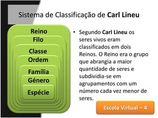 ExercícioReinoFiloClasseOrdemFamíliaGéneroEspécie