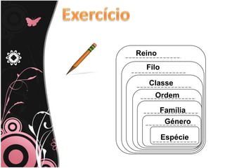 Sistema de ClassificaçãoConjunto de regras e de critérios que permitem classificar os seres vivosEscola Virtual – 5 