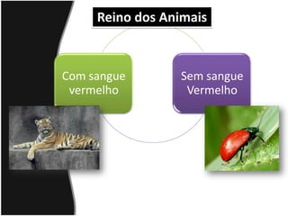No séc. XVIII, Carl Lineu desenvolveu um sistema de classificação bem elaborado: