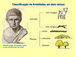 Classificação de Aristóteles em dois reinos: Filósofo grego, Aristóteles nasce no ano de 384 antes de Cristo. 