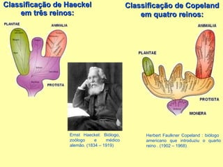 Classificação de Haeckel em três reinos: Ernst Haeckel: Biólogo, zoólogo e médico alemão. (1834 – 1919)  Classificação de Copeland em quatro reinos: Herbert Faulkner Copeland : biólogo  americano que introduziu o quarto reino . (1902 – 1968) 