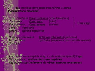 2ª - Todo indivíduo deve possuir no mínimo 2 nomes
(nomenclatura binominal).

Canis familiaris Canis familiaris ( cão doméstico)
Canis lupus      Canis lupus      (lobo)
Canis latrans    Canis latrans (coiote)                  Canis spp
Canis      familiaris
gênero     epíteto específico

Bothrops alternatus      Bothrops alternatus (jararaca)
Grafia itálica            grifados (quando se usa a escrita manual)
Canis spp.



A abreviatura de espécie é sp. e a de espécies (plural) é spp.
Plasmodium sp. (referente a uma espécie)
Plasmodium spp (referente ás várias espécies existentes)
 