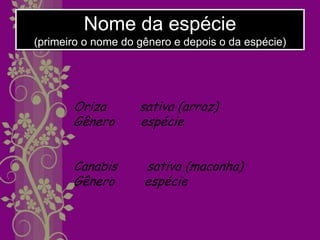 Nome da espécie
(primeiro o nome do gênero e depois o da espécie)




       Oriza        sativa (arroz)
       Gênero       espécie


       Canabis       sativa (maconha)
       Gênero        espécie
 
