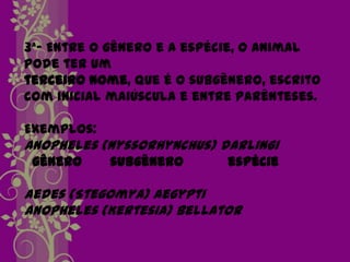 3ª- Entre o gênero e a espécie, o animal
pode ter um
terceiro nome, que é o subgênero, escrito
com inicial maiúscula e entre parênteses.

Exemplos:
Anopheles (Nyssorhynchus) darlingi
 gênero     subgênero       espécie

Aedes (Stegomya) aegypti
Anopheles (Kertesia) bellator
 