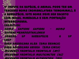 4ª Depois da espécie, o animal pode ter um
terceiro nome (nomenclatura trinominal), é
a subespécie. Este nome deve ser escrito
com inicial minúscula e sem pontuação
intermediária.
Exemplos:
Homo sapiens sapiens       -   Homo
sapiens neanderthalensis
 gênero   sp    subespécie      g      sp
sbsp
Rhea americana alba (ema branca)
Rhea americana grisea (ema cinza)
Micrurus frontalis frontalis (MT)
Micrurus frontalis multicinctus (SC)
 