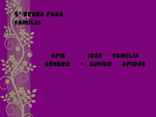 5ª Regra para
família



          Apis     IDAE Família
        Gênero   + sufixo apidae
 
