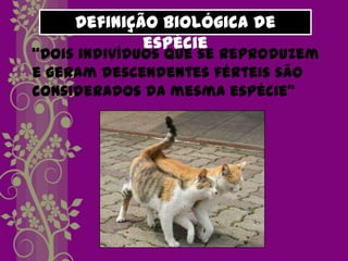 Definição biológica de
             espécie
“Dois indivíduos que se reproduzem
e geram descendentes férteis são
considerados da mesma espécie”
 