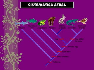 Sistemática Atual
 