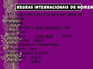 Regras Internacionais de Nomen
1ª- Todo nome científico deve ser latino ou
latinizado.
Exemplos:
Canis familiaris Canis familiaris ( cão
doméstico)
Canis lupus       Canis lupus     (lobo)
Bufo marinus (sapo)
Pongo pygmaeus (orangotango)
Bos taurus (boi)
Bubalus bubalis (búfalo)
Felis tigris (tigre)
Felis leo      (leão)
 