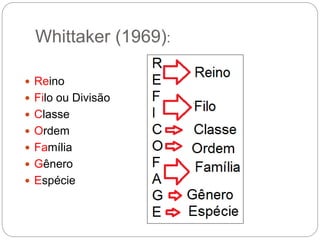 Whittaker (1969):
 Reino
 Filo ou Divisão
 Classe
 Ordem
 Família
 Gênero
 Espécie
 