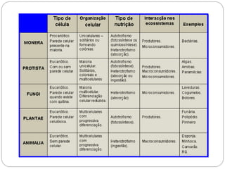 Classificação dos seres vivos