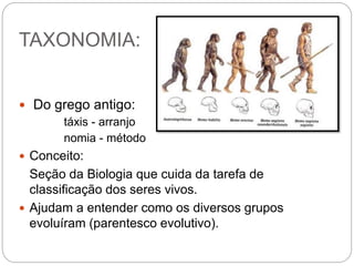 TAXONOMIA:
 Do grego antigo:
táxis - arranjo
nomia - método
 Conceito:
Seção da Biologia que cuida da tarefa de
classificação dos seres vivos.
 Ajudam a entender como os diversos grupos
evoluíram (parentesco evolutivo).
 