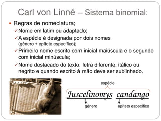 Carl von Linné – Sistema binomial:
 Regras de nomeclatura;
Nome em latim ou adaptado;
A espécie é designada por dois nomes
(gênero + epíteto específico);
Primeiro nome escrito com inicial maiúscula e o segundo
com inicial minúscula;
Nome destacado do texto: letra diferente, itálico ou
negrito e quando escrito à mão deve ser sublinhado.
Juscelinomys candango
gênero epíteto específico
espécie
 
