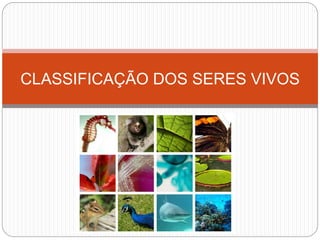 CLASSIFICAÇÃO DOS SERES VIVOS
 