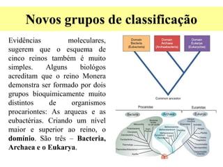 Novos grupos de classificação
Evidências moleculares,
sugerem que o esquema de
cinco reinos também é muito
simples. Alguns biológos
acreditam que o reino Monera
demonstra ser formado por dois
grupos bioquimicamente muito
distintos de organismos
procariontes: As arqueas e as
eubactérias. Criando um nível
maior e superior ao reino, o
domínio. São três – Bacteria,
Archaea e o Eukarya.
 